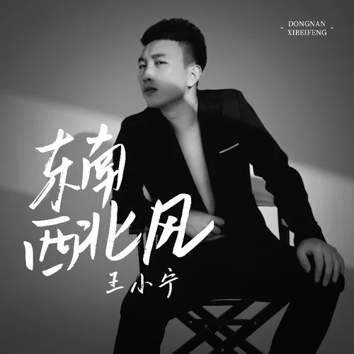 東南西北風(fēng) (新版)-王小寧