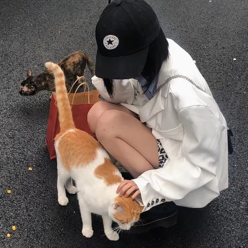 wake (抖音完整版)-七大大