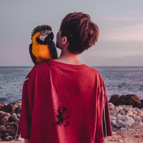 小姑娘-劉力揚(yáng)