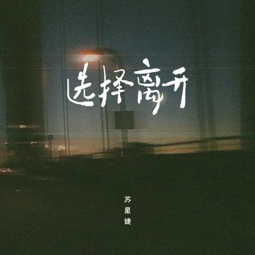 選擇離開-蘇星婕