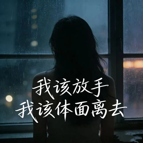 我該放手 我該體面離去-小飛飛-wy