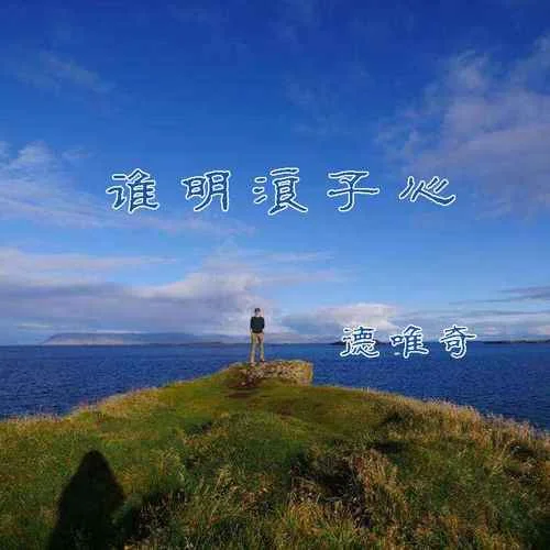 誰明浪子心(DJ版)-德唯奇