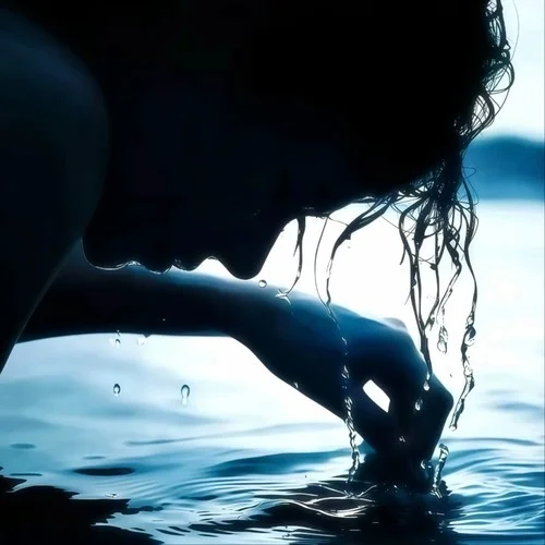 Cisdolty askilom (純享版)-Aurasona