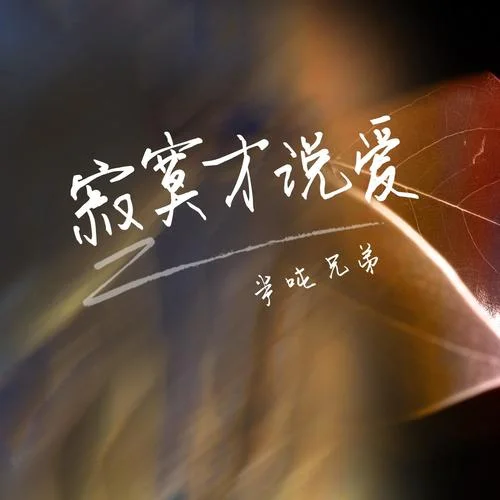 寂寞才說(shuō)愛(ài)(DJheap九天版)(Remix)-半噸兄弟