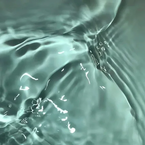 落花有意隨流水-Eddie Chen