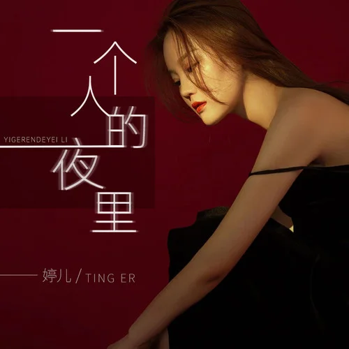 一個(gè)人的夜里-婷兒