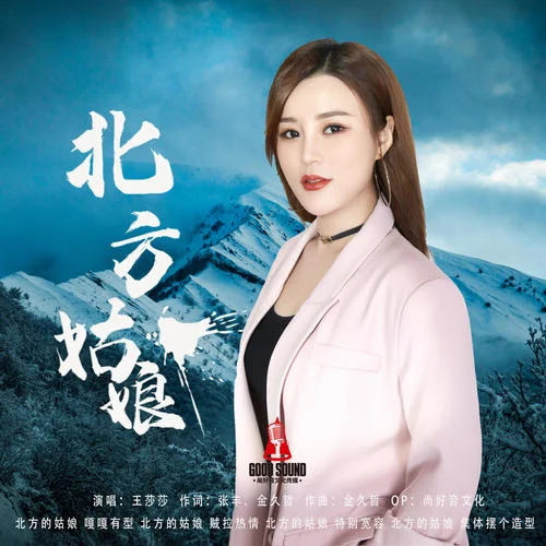 北方姑娘(DJ何鵬版)-王莎莎