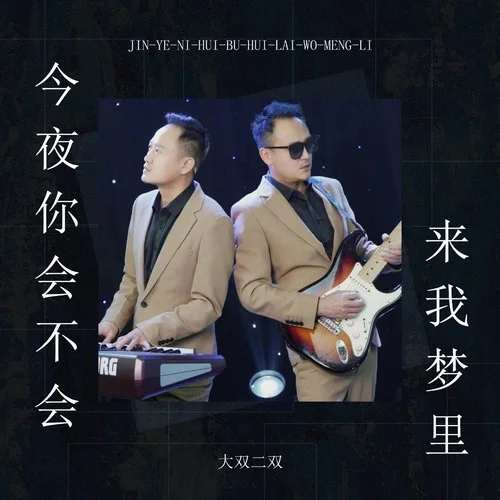 今夜你會不會來我夢里-大雙二雙