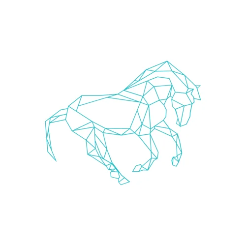 身骑白马(DJ版)-pay姐