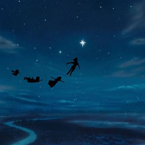 Peter Pan Was Right-Angela Dai