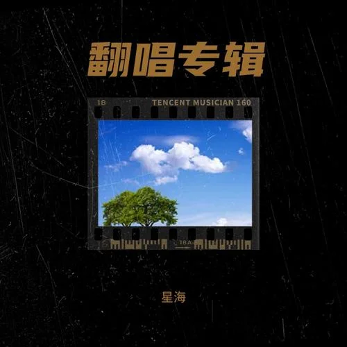 天氣之子·幻 (翻奏: STRlighT)-星海