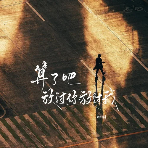 算了吧 放過你放過我 (DJWH版)-田園