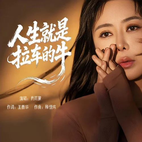 人生就是拉車的牛（DJ版）-肖雨蒙