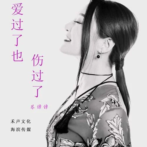 爱过了也伤过了-苏谭谭