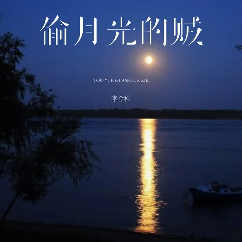 偷月光的賊 (DJ沈樂版)-李金科