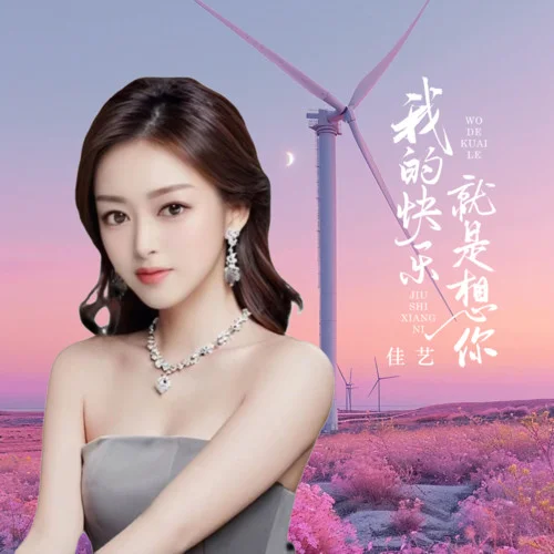 我的快樂(lè)就是想你（女版）-佳藝