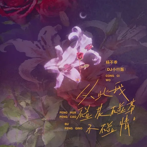 從此我碰花碰草不碰情 (DJ小行版)-楊不乖