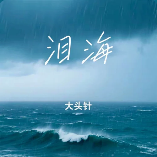 泪海(你怎么舍得让我的泪流向海)-大头针