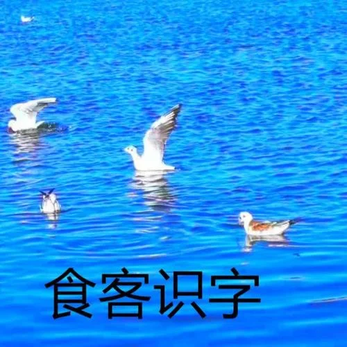 悄-小食客_婉約之聲