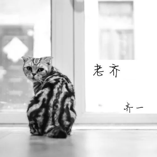 兩個(gè)男人的周末-齊一