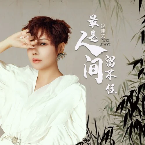 最是人間留不住-魏佳藝