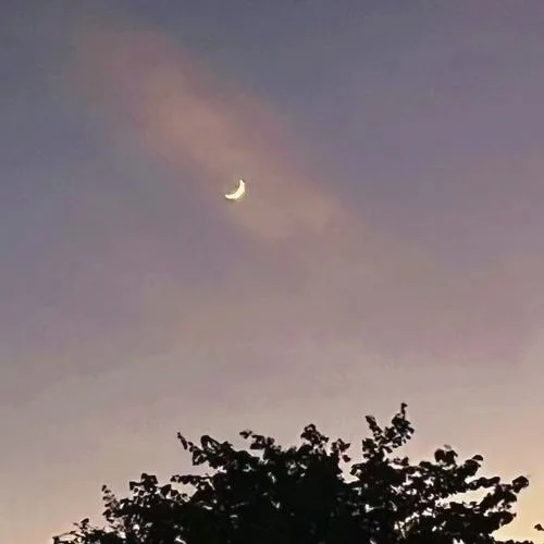 真的愛你 (復古Ballad版)-RAY的音樂口袋