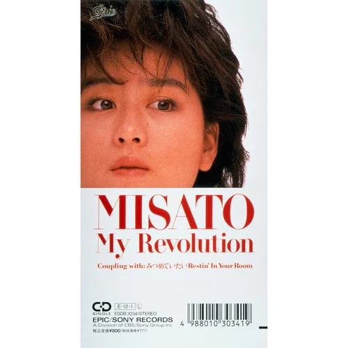 My Revolution-渡辺美里