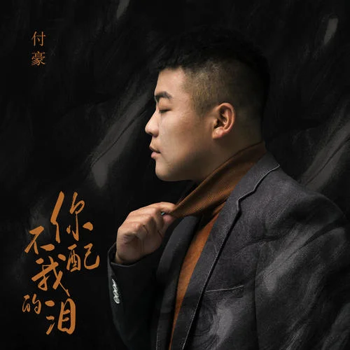 你不配我的淚(DJ偉然版)-付豪