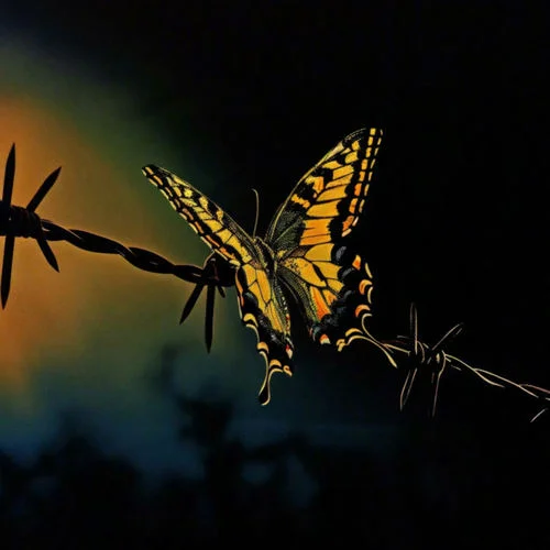 羅甸愛情故事-墾丁