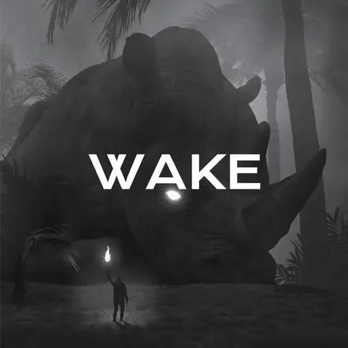Wake(Live)-Hillsong Young&Free