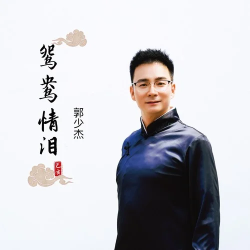 鴛鴦情淚（DJ默涵版）-郭少杰