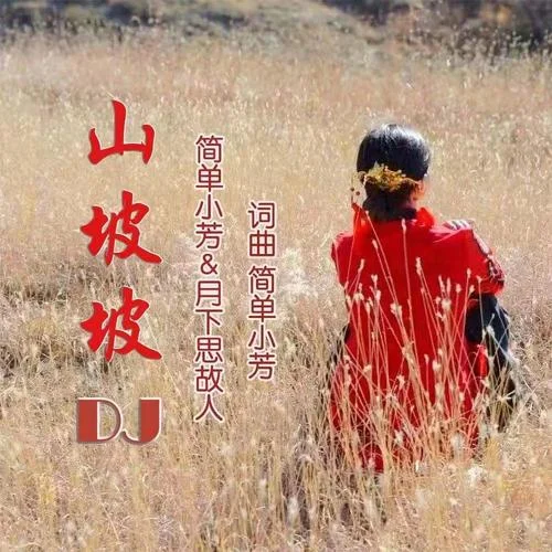 山坡坡（DJ版）-简单小芳&月下思故人
