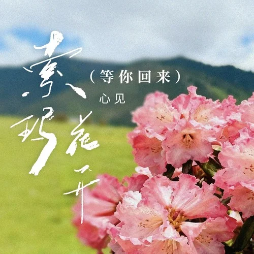 索瑪花開(等你回來)-心見
