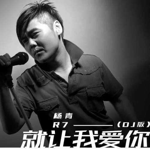 就讓我愛你(DJ版)-楊青&R7