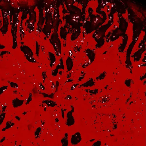 Cute Pith(New Edit)-Tamboss