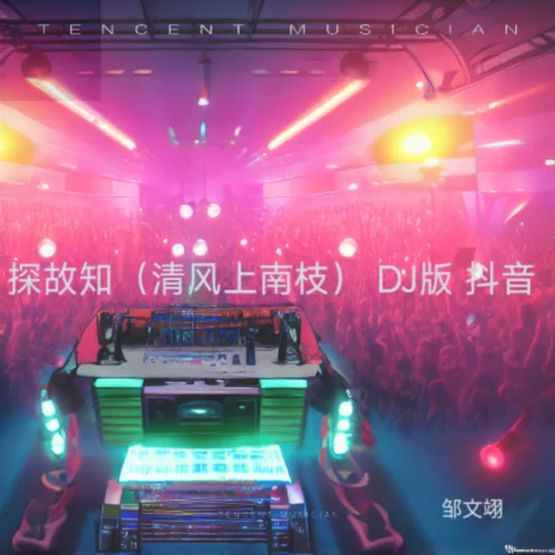 探故知（清風(fēng)上南枝） DJ加速版 抖音-鄒文翊