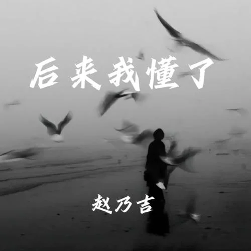 后來(lái)我懂了-趙乃吉