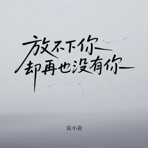 放不下你卻再也沒(méi)有你-袁小袁
