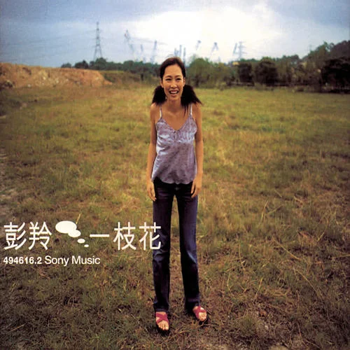 給我愛過的男孩們-彭羚