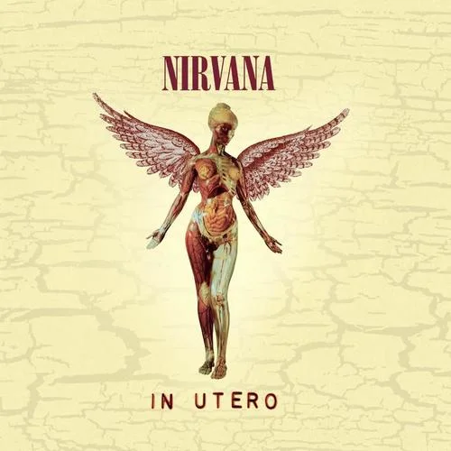 Heart-Shaped Box-Nirvana