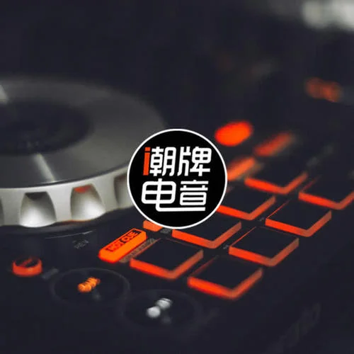 重低音车载8D环绕(3D环绕)-潮牌电音