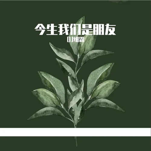 天若有情 (0.8x降調(diào)版)-DJ細(xì)霖