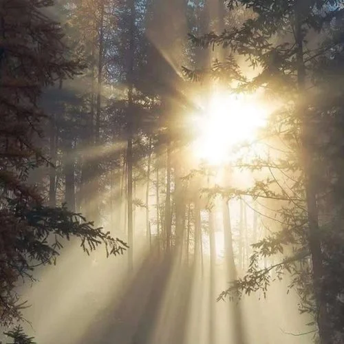 心底的那個(gè)人-曹偉森