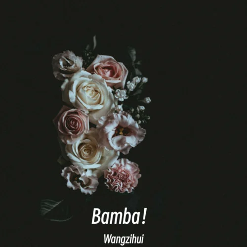 MONTAGEM XONADA (DJ高燃曲)-Wangzihui