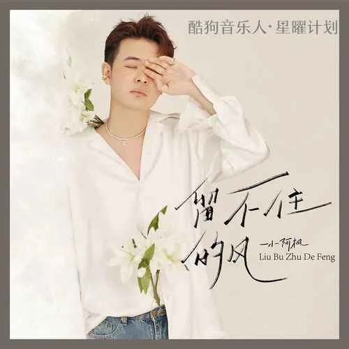 留不住的風(fēng)-小阿楓