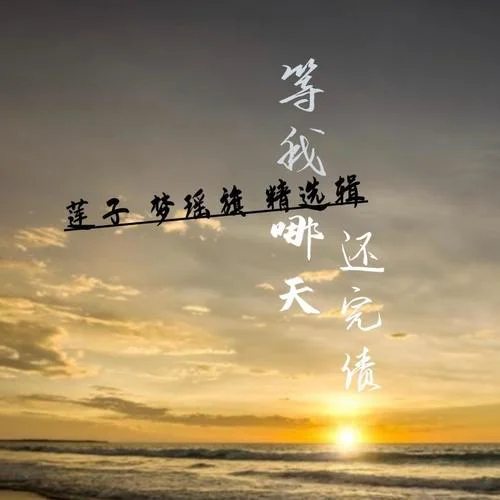 等我哪天還完債（DJ舞曲版）-蓮子&白宏哲