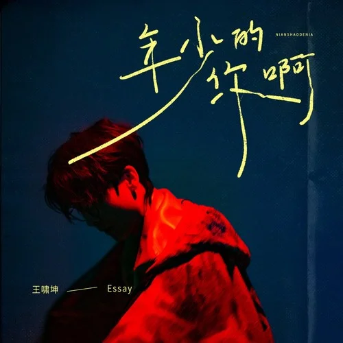 年少的你啊-王嘯坤