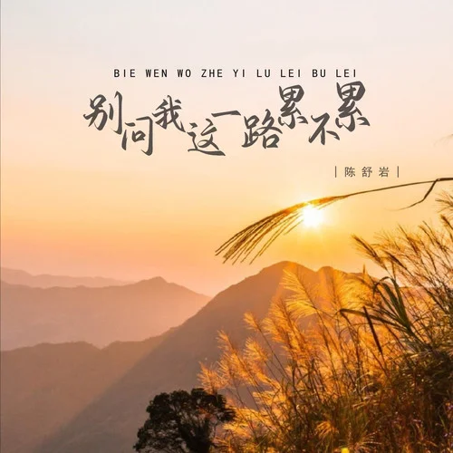 別問(wèn)我這一路累不累-陳舒巖
