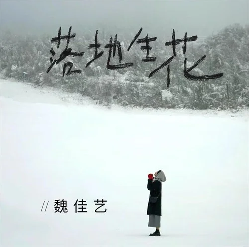 落地生花(DJ默涵版)-魏佳藝