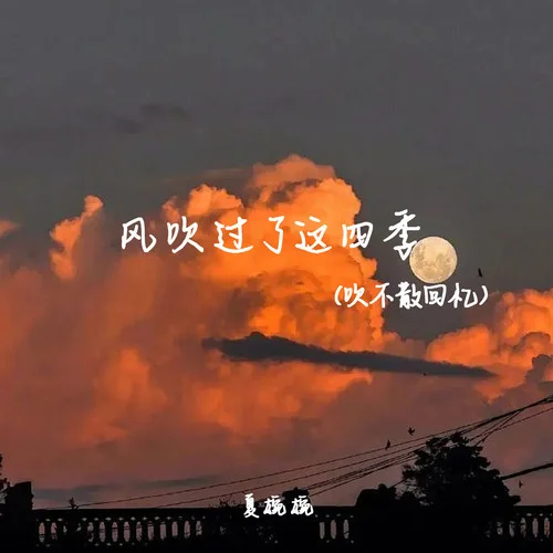 風(fēng)吹過(guò)了這四季(吹不散回憶)-夏婉婉